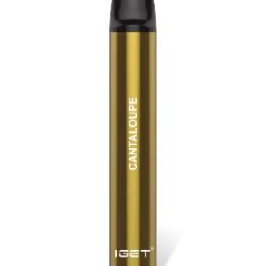 Cantaloupe 600 Puffs Disposable 3 x IGET Shion