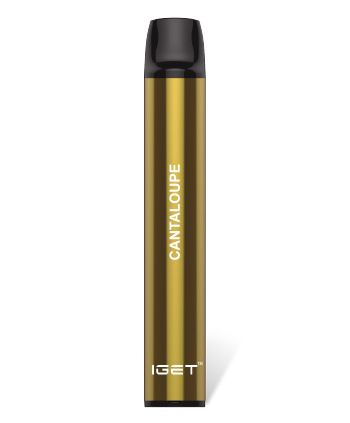 Cantaloupe 600 Puffs Disposable 3 x IGET Shion